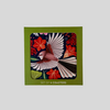 Catherine Marion Set of 4 Coasters