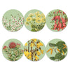 NZ Native Botanicals Placemats