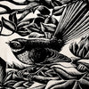 Te Papa Tea Towels- Mervyn Taylor