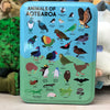 Animals of Aotearoa Puzzle