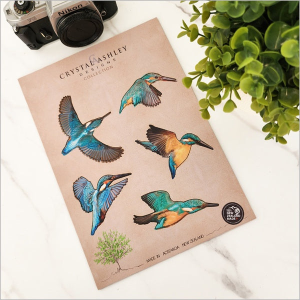 Pop out Native Bird Wall Sets  A4