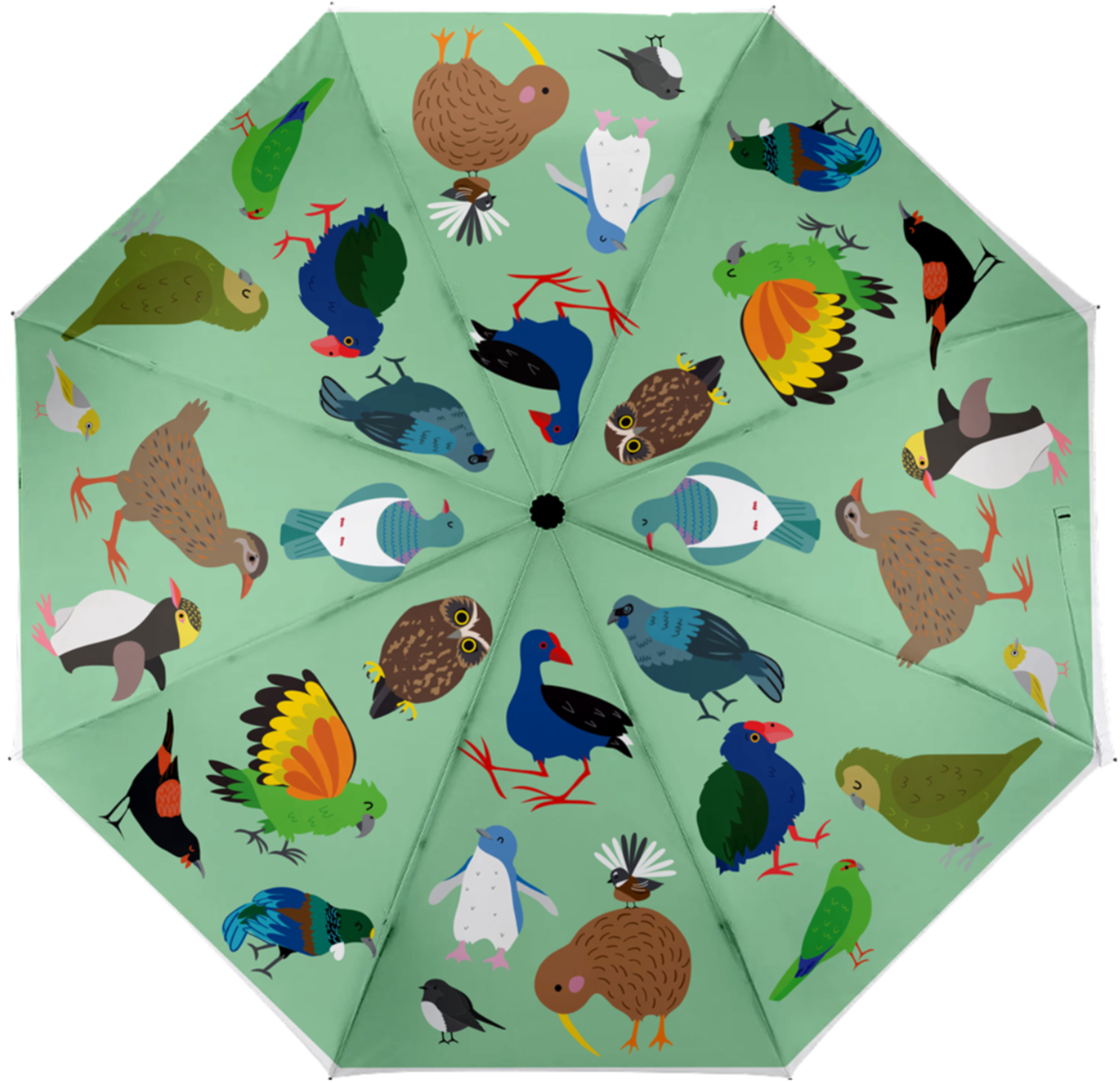 OG Birds - Umbrella