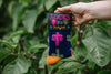 Socks - Pussy Power