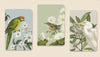 Birds and Botanical Notebook Set