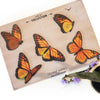 Monarch Butterfly Set